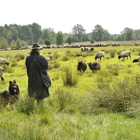 Cohrs 게스트하우스 3*